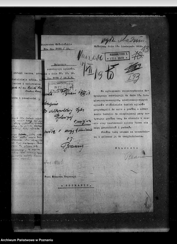 Obraz 17 z jednostki "Sprawy stadnin stadniny - ogólne zarządu stadnin"