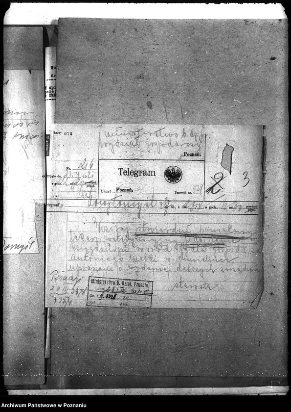 Obraz 7 z jednostki "Księgosusz - Nowy Tomyśl"