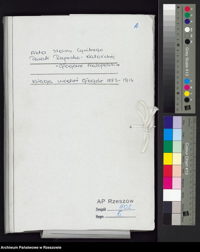 image.from.unit.number "Księga urodzeń Głogów"