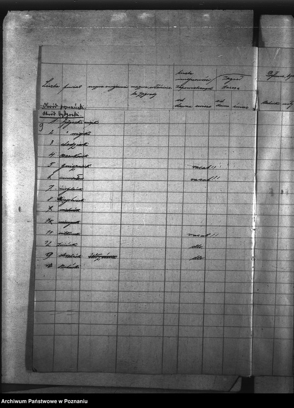 Obraz 13 z jednostki "Zaraza płucna - zbiór wykazów rok 1923"