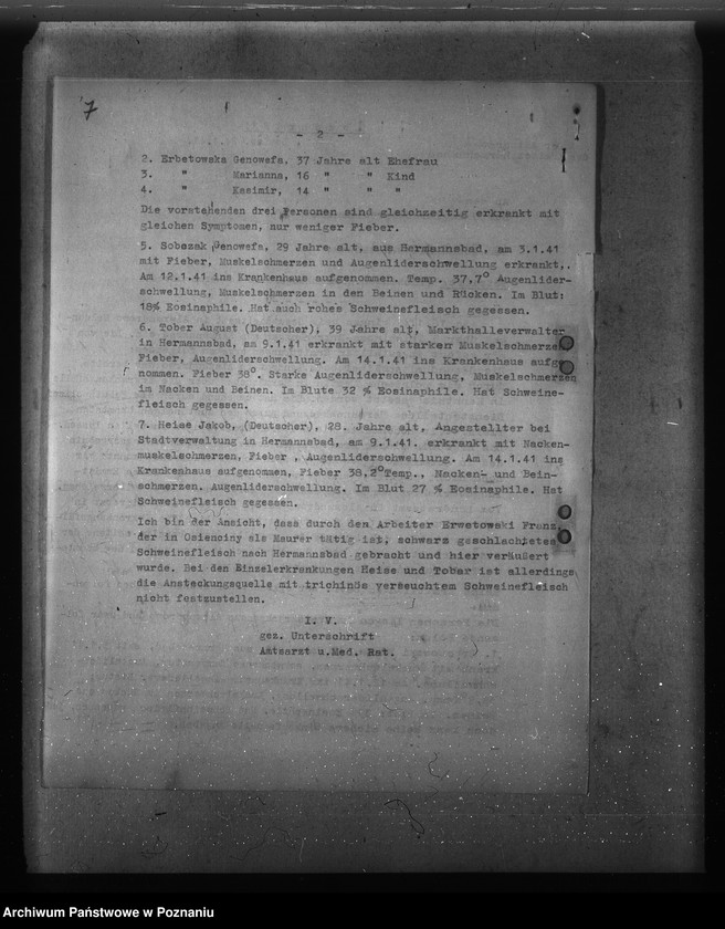 Obraz 11 z jednostki "Trichinose, Typhus"