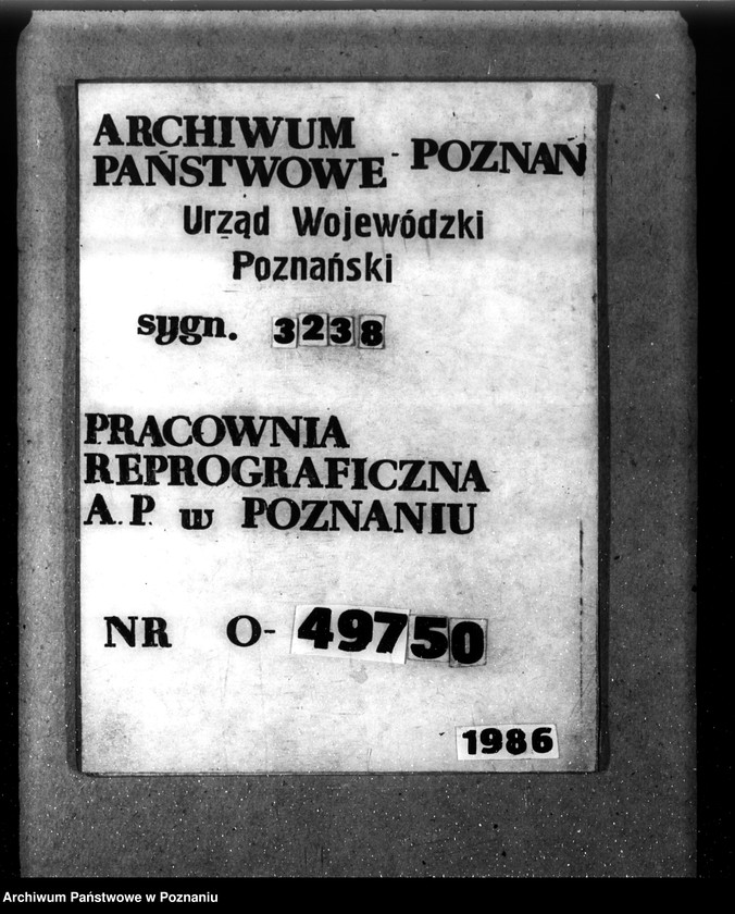 Obraz 1 z jednostki "Las fundacyjny Bodzewo w powiecie gostyńskim"