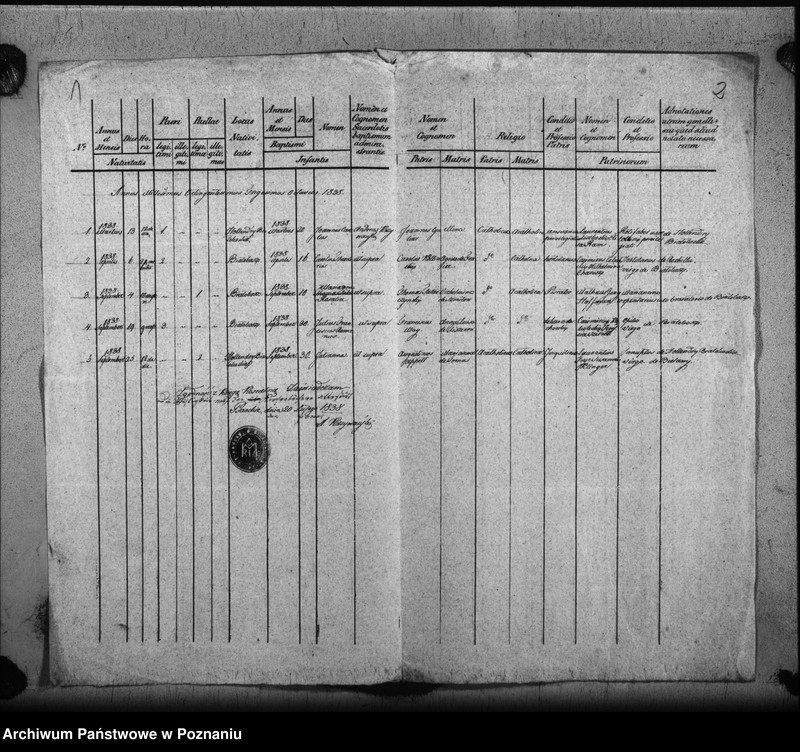 Obraz z jednostki "Duplicat baptisatorum"