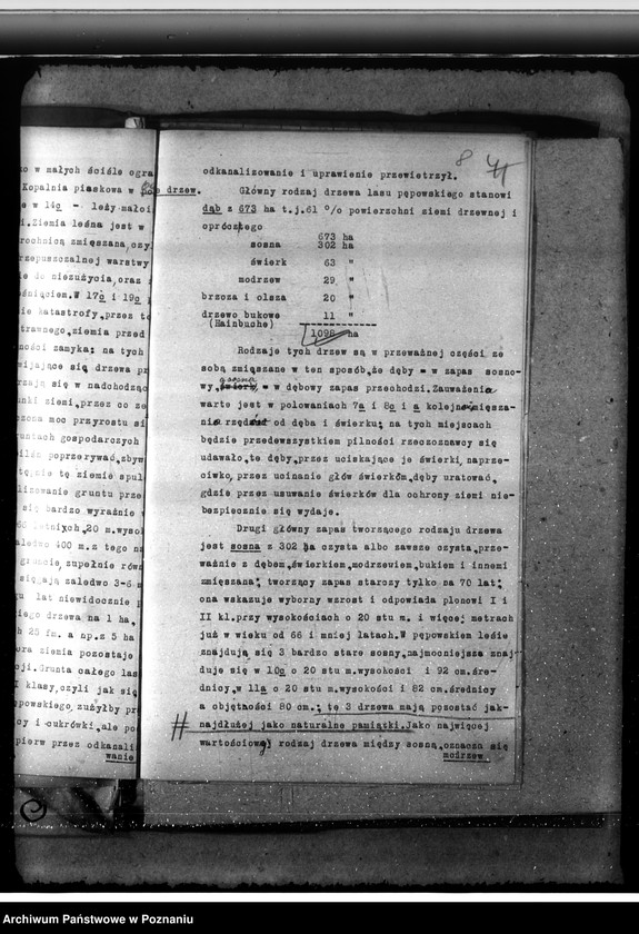 Obraz 12 z jednostki "Majętność /leśna/ Pępowo w powiecie gostyńskim"