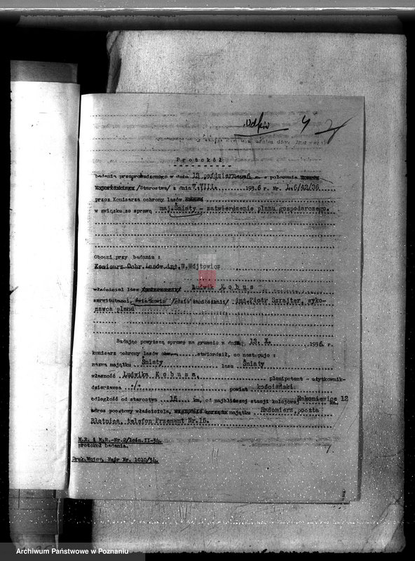 Obraz 8 z jednostki "Las majętność Śniaty powiat kościański"