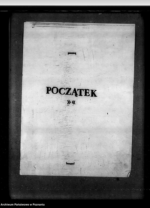 Obraz 3 z jednostki "Sprawy stadnin rozdział rządowych ogierów na stacjach"