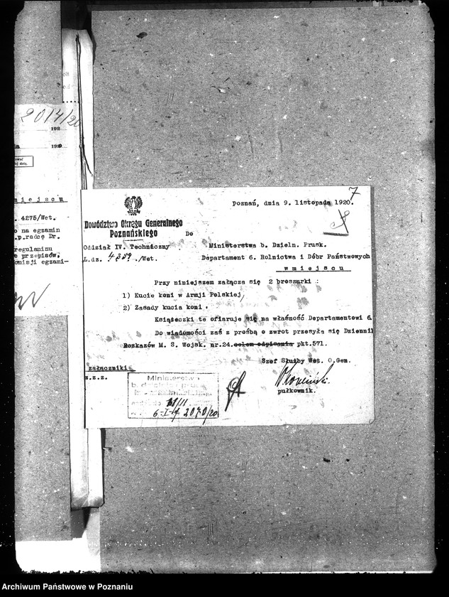 Obraz 12 z jednostki "Podkuwacze koni"