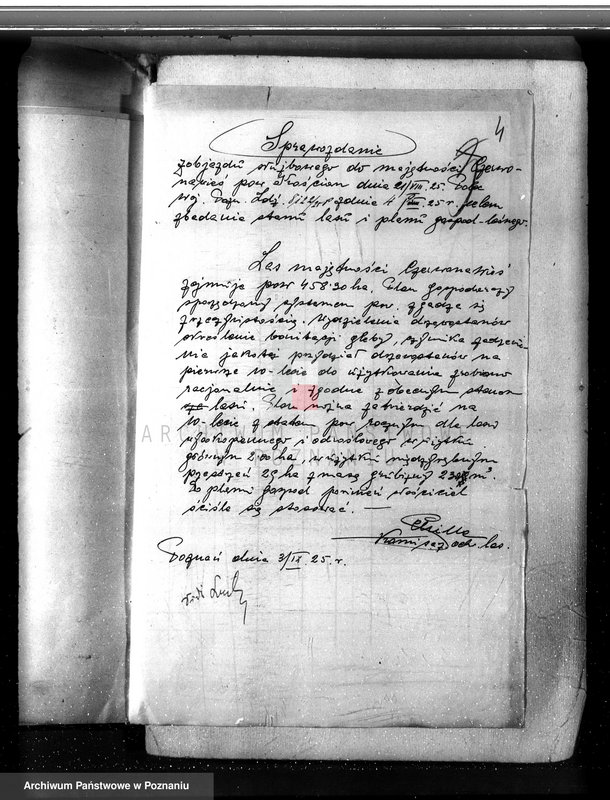 Obraz 8 z jednostki "Nadzór nad gospodarką w lasach majętności Czerwona-Wieś powiat kościański"