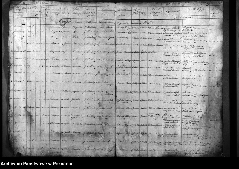 Obraz 4 z jednostki "Duplicatum natorum, copulatorum, mortuorum"