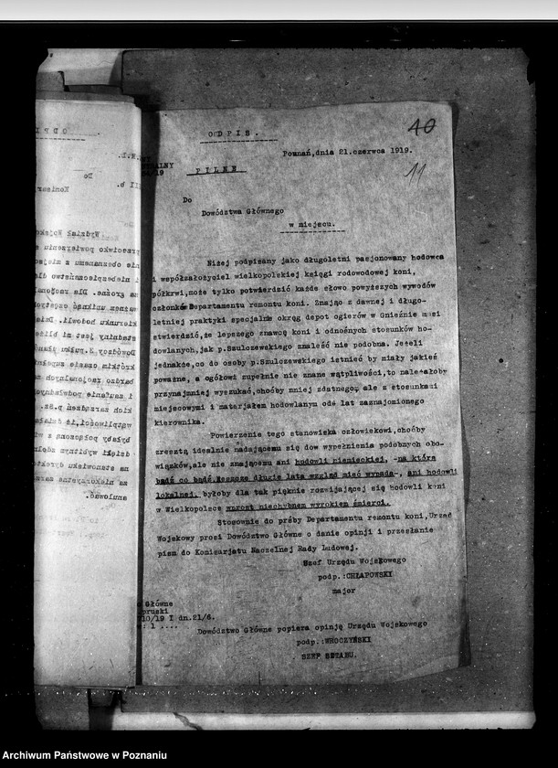 Obraz 16 z jednostki "Sprawy ogólne stadnin"