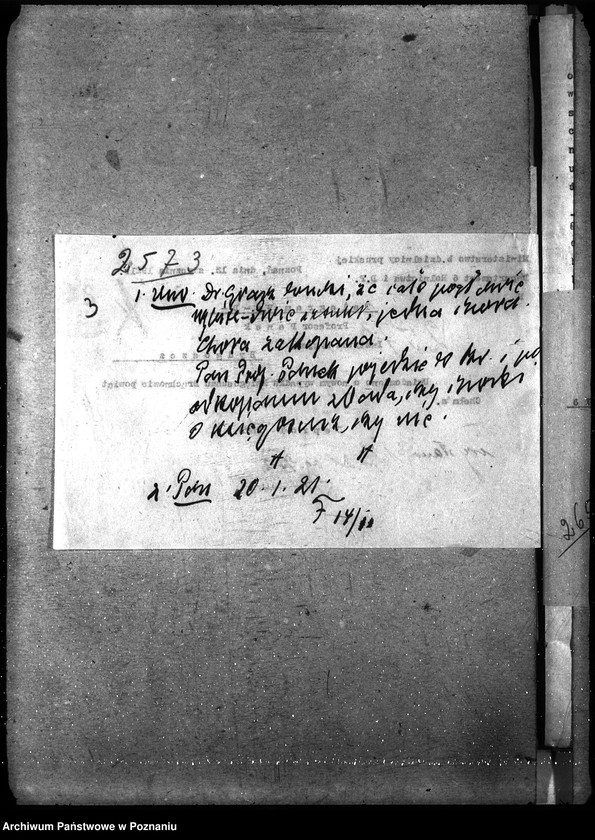 Obraz 8 z jednostki "Księgosusz - Toruń"