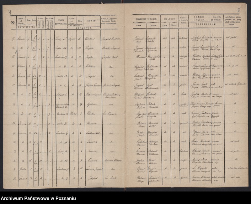 Obraz 5 z jednostki "Indeks urodzeń"