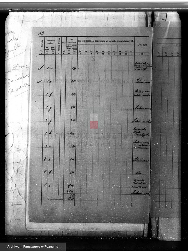 Obraz 14 z jednostki "Plan urządzania gospodarstwa leśnego dla lasu majętności Jezierzyce powiat kościański 1927-1938"