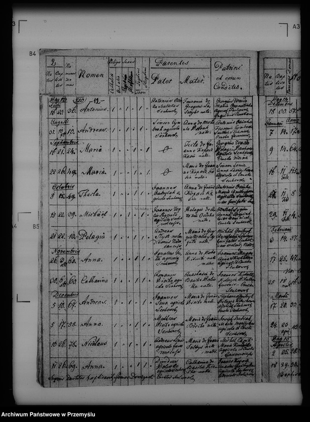 image.from.unit.number "[Kopie ksiąg metrykalnych parafii Seńkowa Wola (dekanat Buków)]"