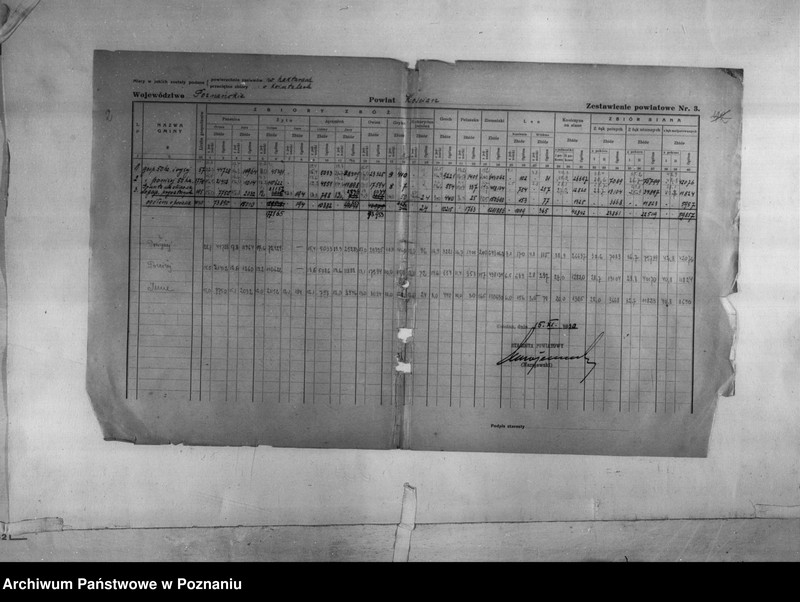 Obraz 4 z jednostki "/Statystyka produkcji rolnej - zestawienie z terenu powiatu kościańskiego"