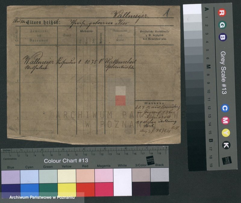 Obraz 5 z jednostki "Walmajer - Walter (żonaci - samotni mężczyźni)"