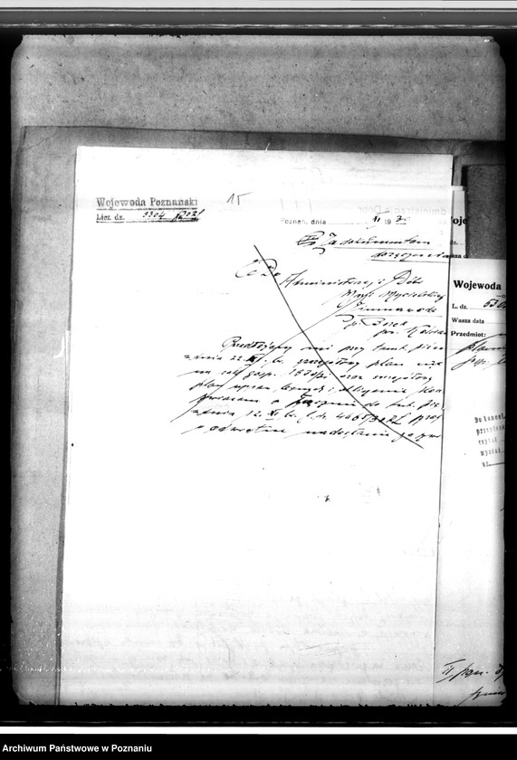 Obraz 19 z jednostki "Majętność leśna Zimnawoda w powiecie gostyńskim"