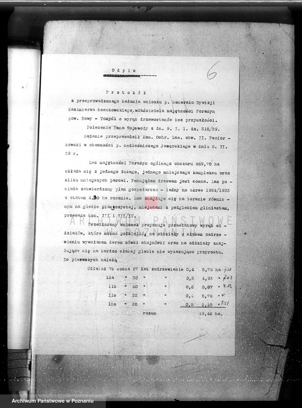 Obraz 10 z jednostki "Majętność leśna Porażyn w powiecie nowotomyskim"