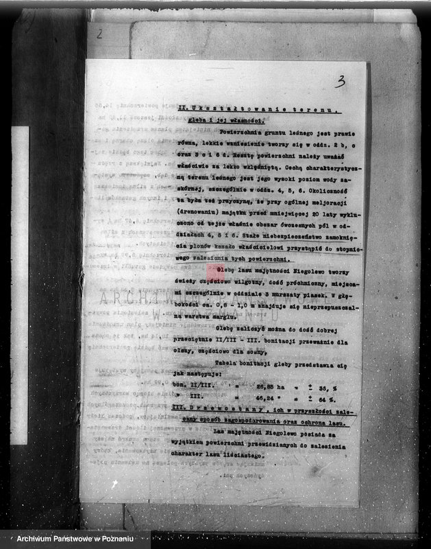 Obraz 7 z jednostki "Plan urządzenia gospodarstwa leśnego dla lasu majątku Niego lewo powiat nowotomyski 1927-1937"