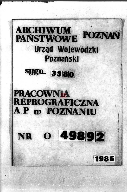 Obraz 1 z jednostki "Lasy miasta Dąbie powiatu kolskiego"