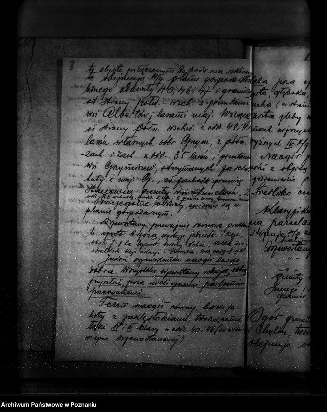 Obraz 12 z jednostki "Zmiana rodzaju użytkowania w związku z parcelacją 84 ha gruntów leśnych w majątku Grzymiszew powiat turecki"