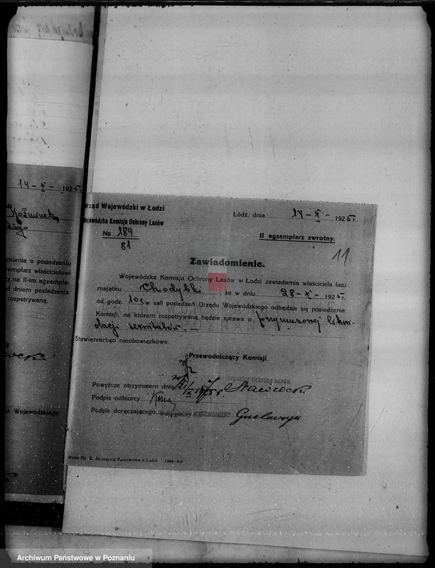 Obraz 15 z jednostki "Gmina Koźminek powiat kaliski /sprawy leśne/"