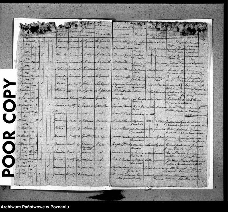 Obraz 4 z jednostki "Duplicat baptisatorum, copulatorum, mortuorum"