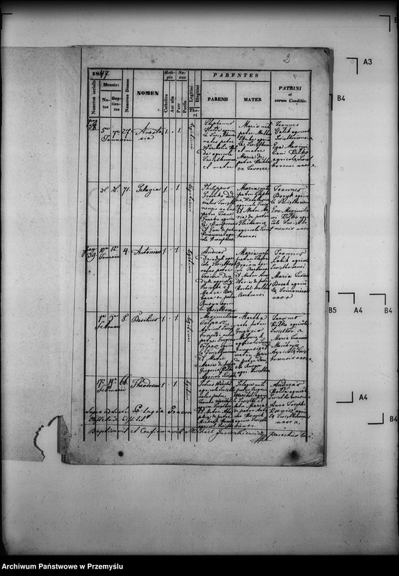 image.from.unit.number "[Kopie ksiąg metrykalnych parafii Świątkowa Wielka z filiami Świątkówka i Świerzowa (dekanat Dukla)]"