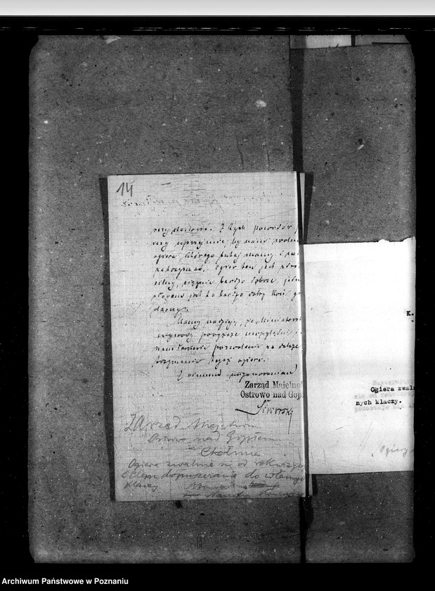 image.from.unit.number "Sprawy stadnin ogiery nielicencjonowane"