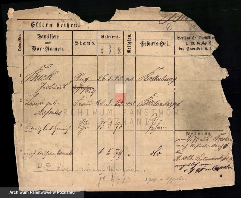 Obraz 8 z jednostki "Buk - Bukowitz"