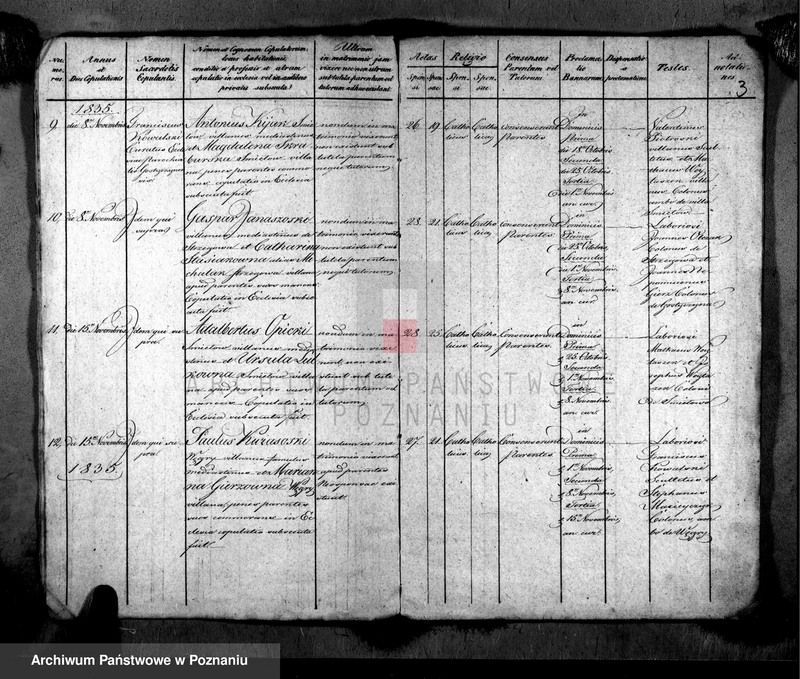 image.from.unit.number "Metrices copulatorum"