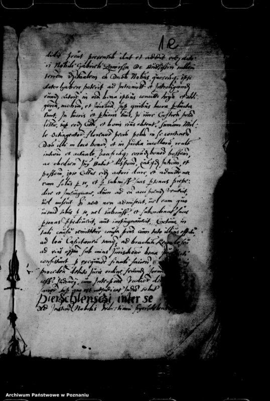 Obraz 11 z jednostki "Inscriptiones, relationes, decreta iudicii et officii [inducta]"