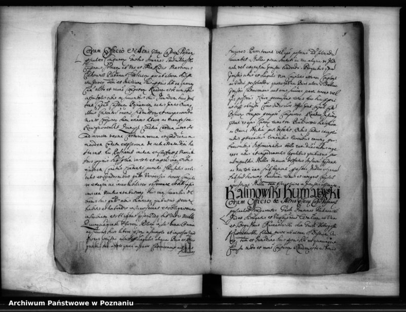 Obraz 12 z jednostki "Inscriptiones [inducta]"