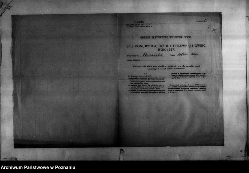 Obraz 10 z jednostki "Spis koni, bydła, trzody chlewnej i owiec - zestawienie z terenu powiatu ostrowskiego"