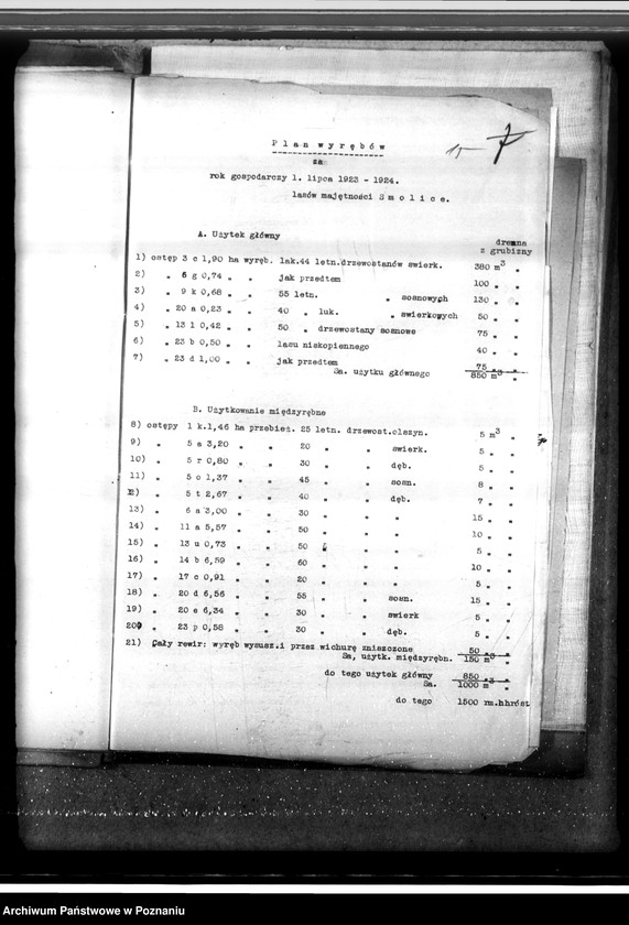 Obraz 19 z jednostki "Majętność leśna Smolice w powiecie gostyńskim"