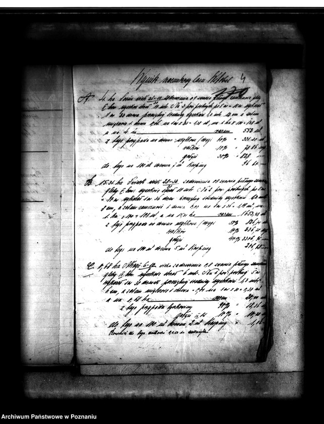 Obraz 8 z jednostki "Parcelacja lasu Witobel 113 powiatu poznańskiego Teofil Bartkowiak"