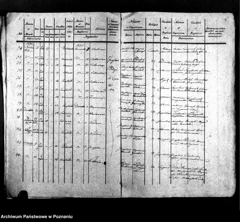 Obraz 6 z jednostki "Libri metrices baptisatorum, desponsatorum, mortuorum"