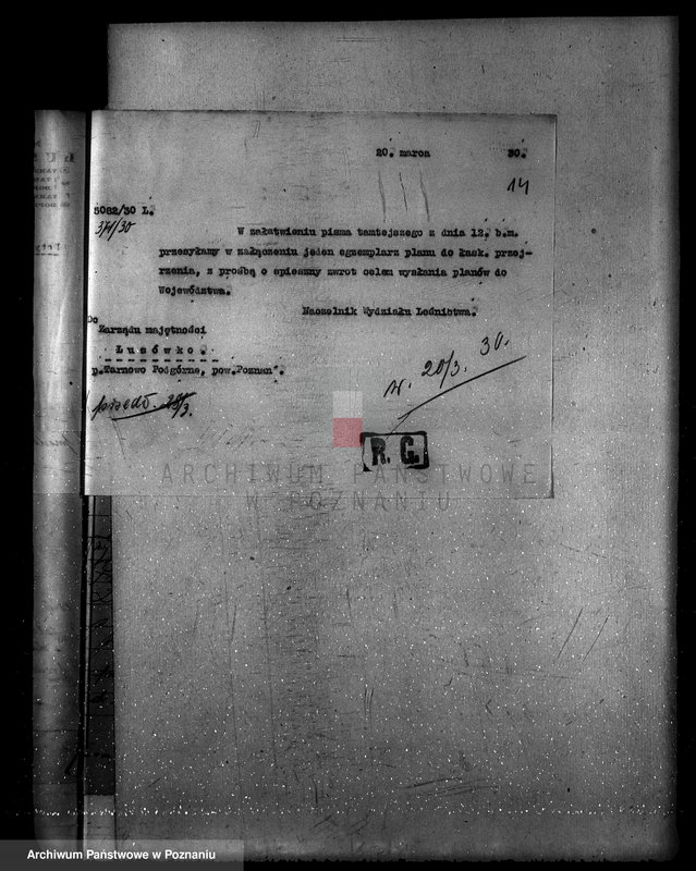 Obraz 18 z jednostki "Zarząd majętności Lusówko powiat poznański/ nadzór nad gospodarką leśną/"