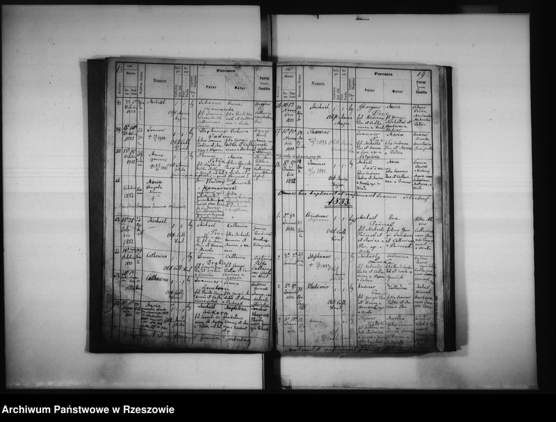 image.from.unit.number "Księga urodzeń Biała, Matysówka, Zalesie Drabinianka, Rzeszów, Tyczyn"