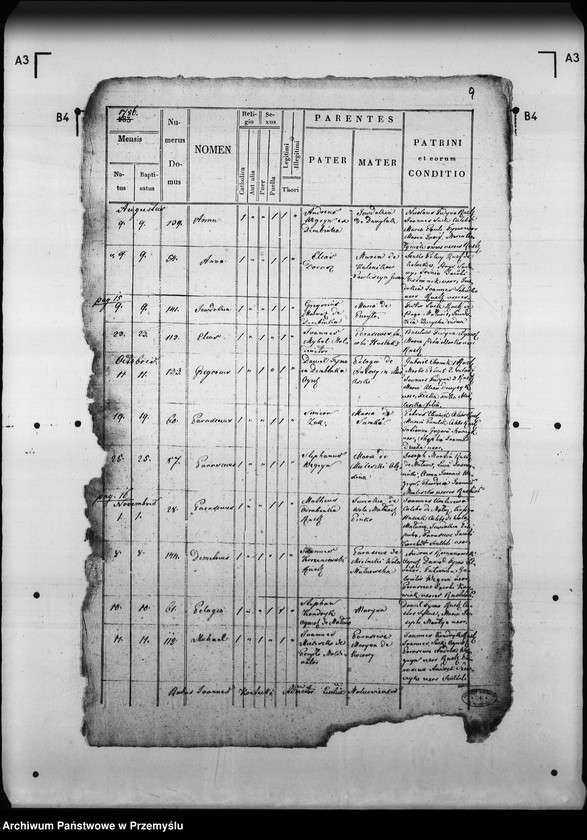 Obraz 14 z jednostki "[Kopie ksiąg metrykalnych parafii Małnów (dekanat Mościska)]"
