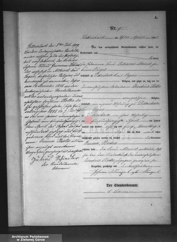 Obraz 12 z jednostki "[Księga aktów urodzeń]"