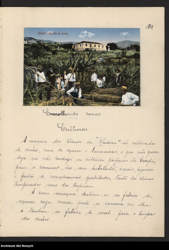 Obraz 7 z kolekcji "Madera111"