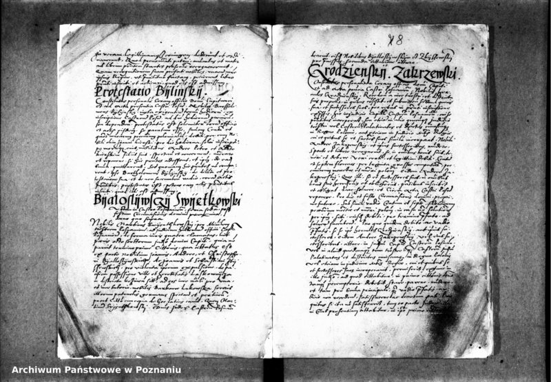 Obraz 13 z jednostki "Inscriptiones, relationes, decreta iudicii et officii [inducta]"