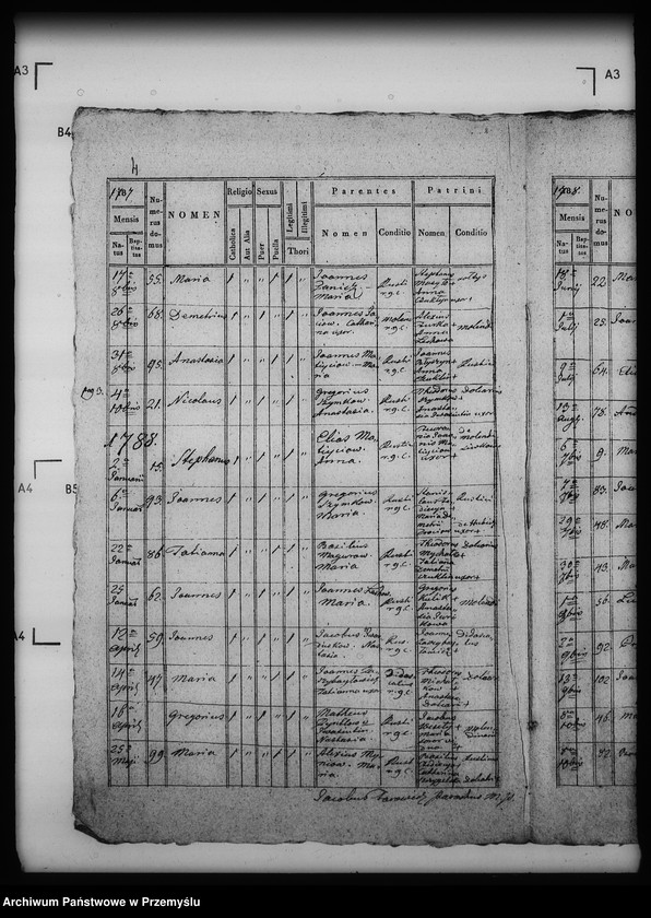 Obraz 8 z jednostki "[Kopie ksiąg metrykalnych parafii Modrycz z filią Solec (dekanat Drohobycz)]"