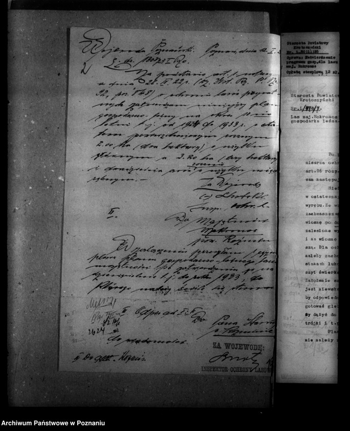 Obraz 6 z jednostki "Nadzór nad gospodarką leśną majętności Mokronos powiat krotoszyński"