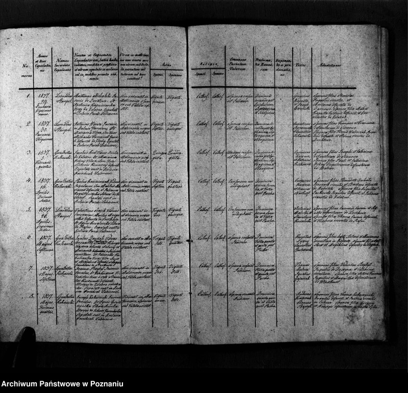 Obraz 4 z jednostki "Duplicatum copulatorum, baptisatorum, mortuorum"