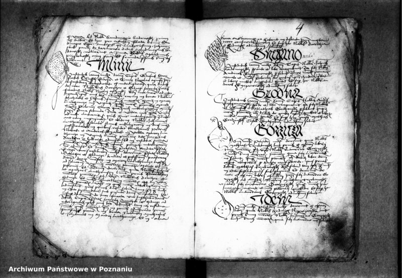 Obraz 7 z jednostki "Inscriptiones, relationes, decreta [inducta]"