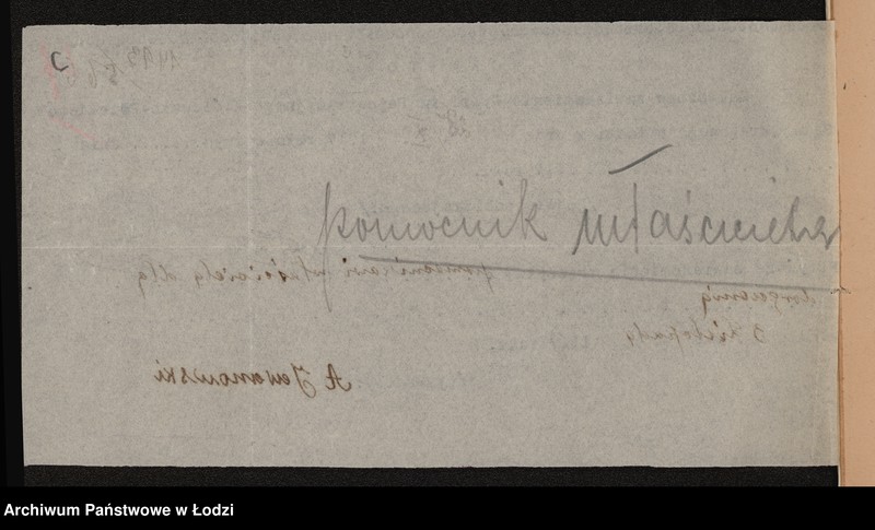 Obraz 8 z jednostki "Alfred W. Richter- handel artykułów technicznych i gospodarskich"