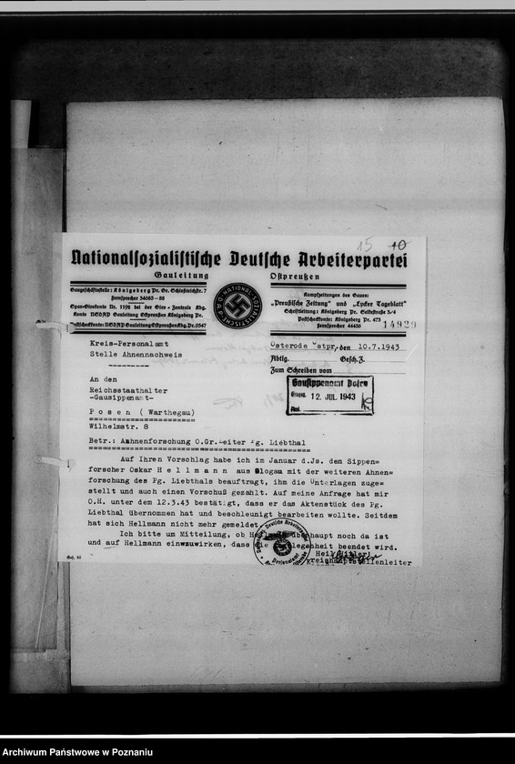 Obraz 19 z jednostki "Berufssippenforscher Oskar Hellmann, Glogau [Głogów]"