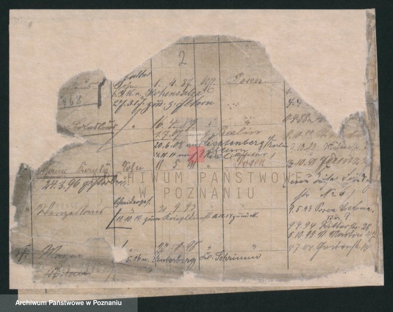 Obraz 2 z jednostki "Lewandowski (żonaci i wdowy)"